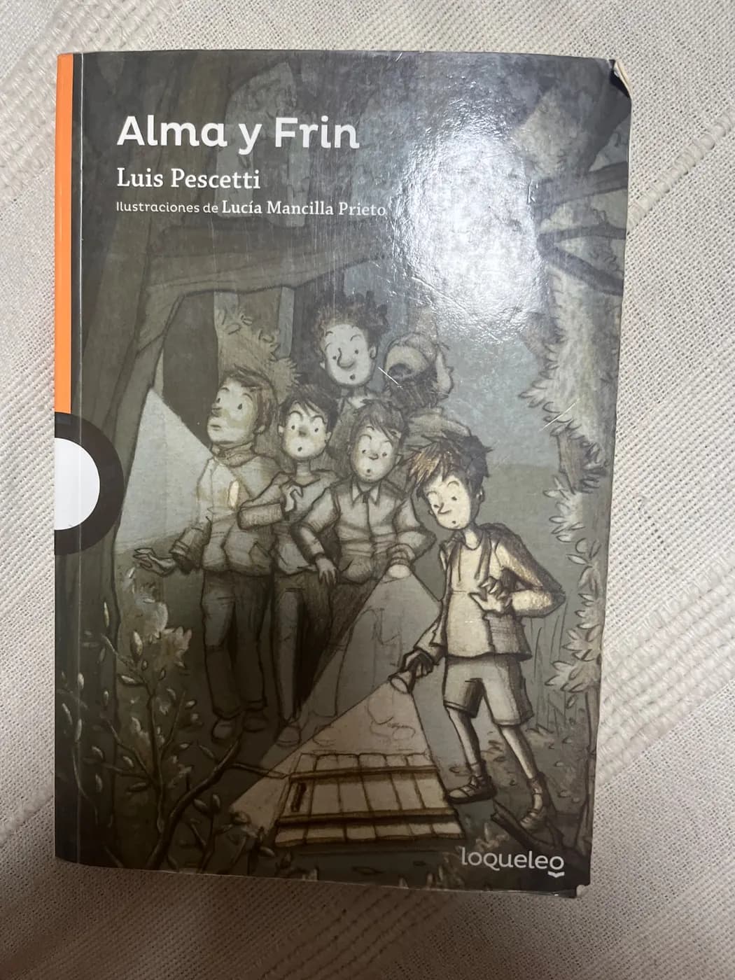 Libro “Alma y Frin”