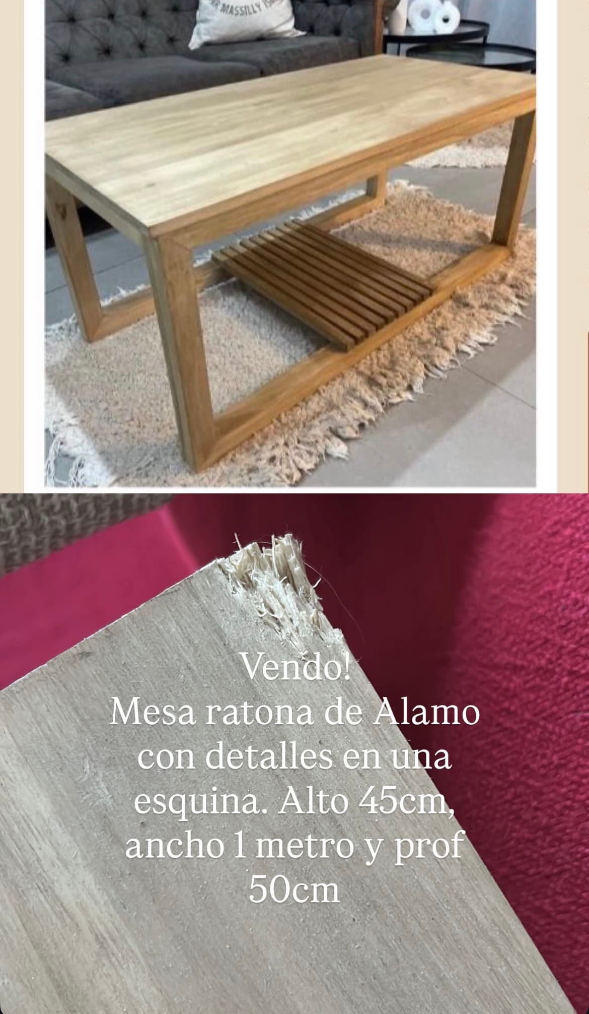 Mesa ratona