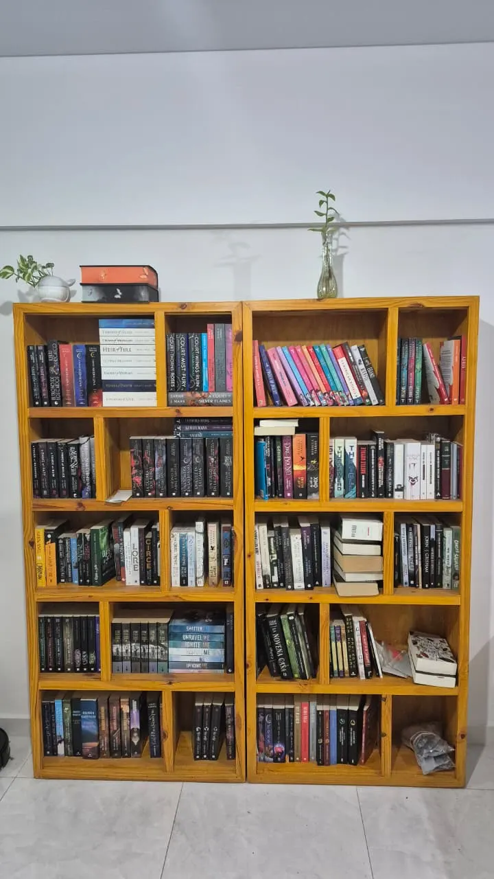 Biblioteca de pino barnizada (2 modulos)