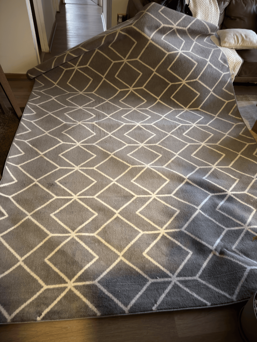 Alfombra Kashank 200x290 cm Gris