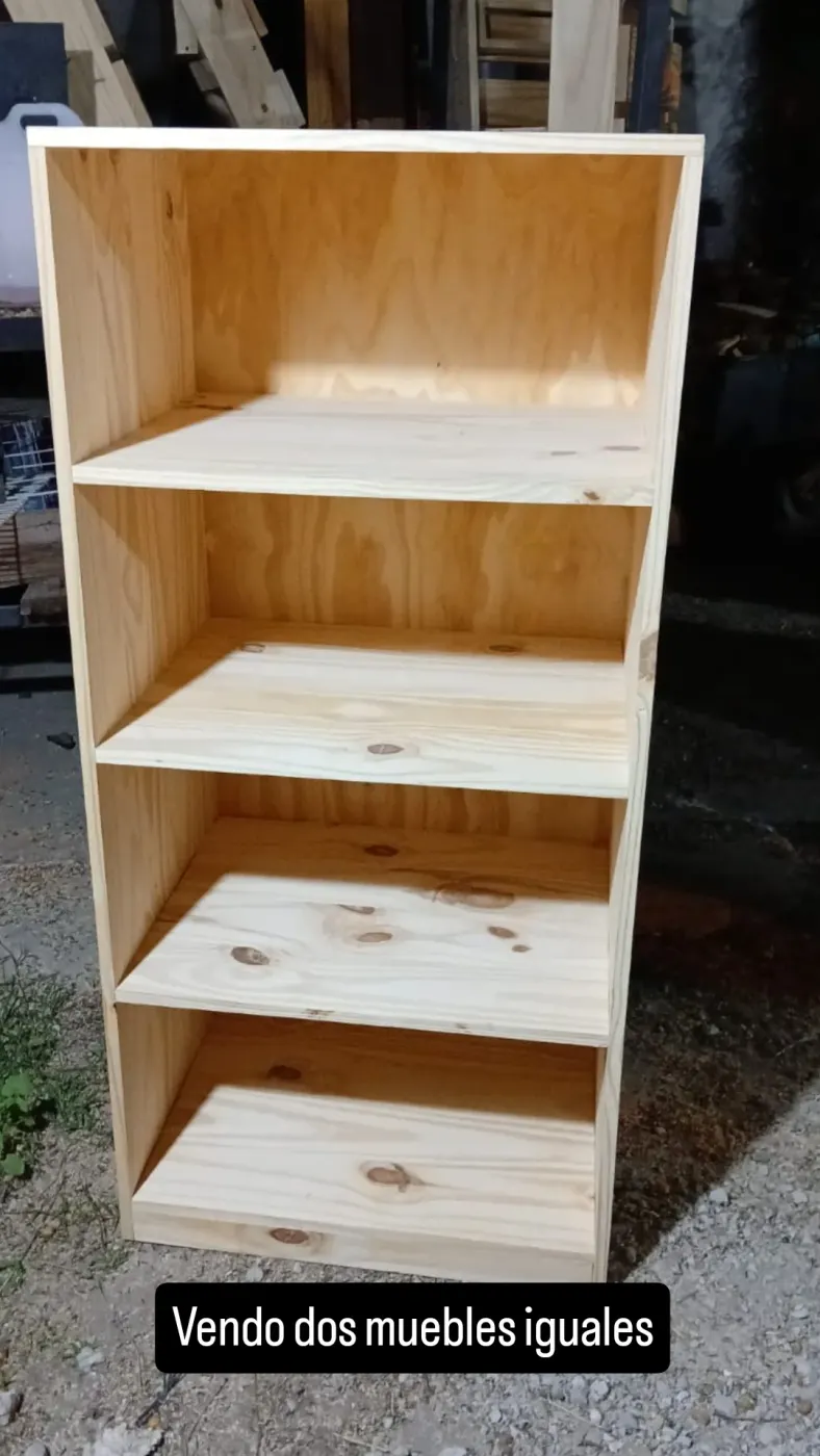 Organizador