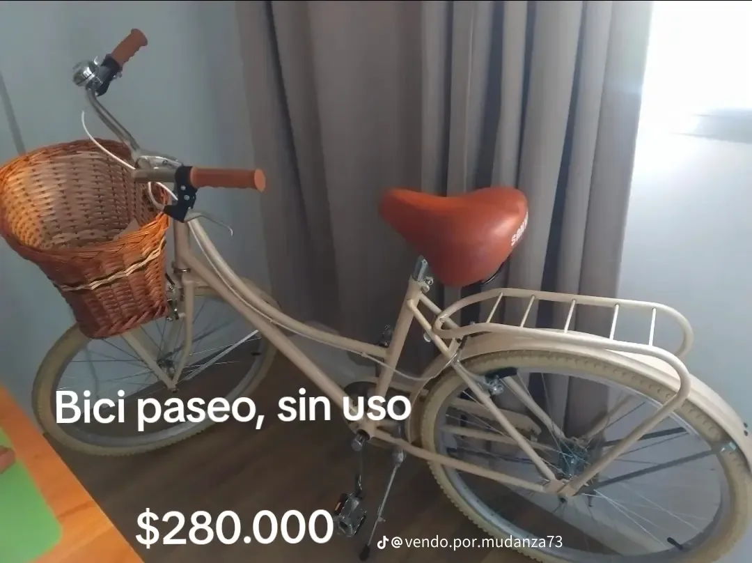 Bicicleta paseo