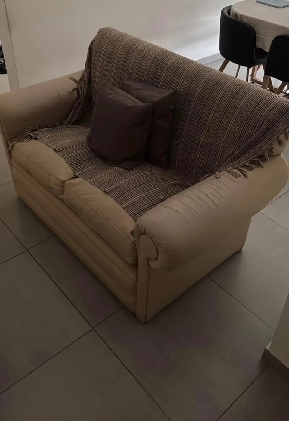 SILLÓN + 2 ALMOHADONES + MANTA