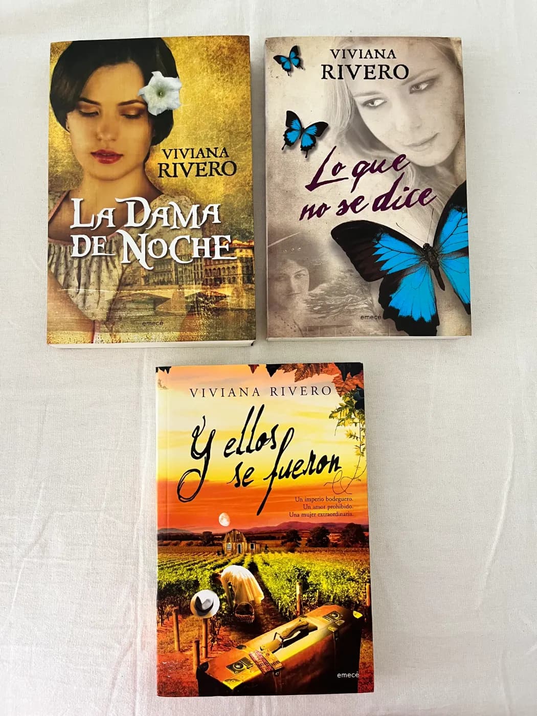 Lote libros Viviana Rivero